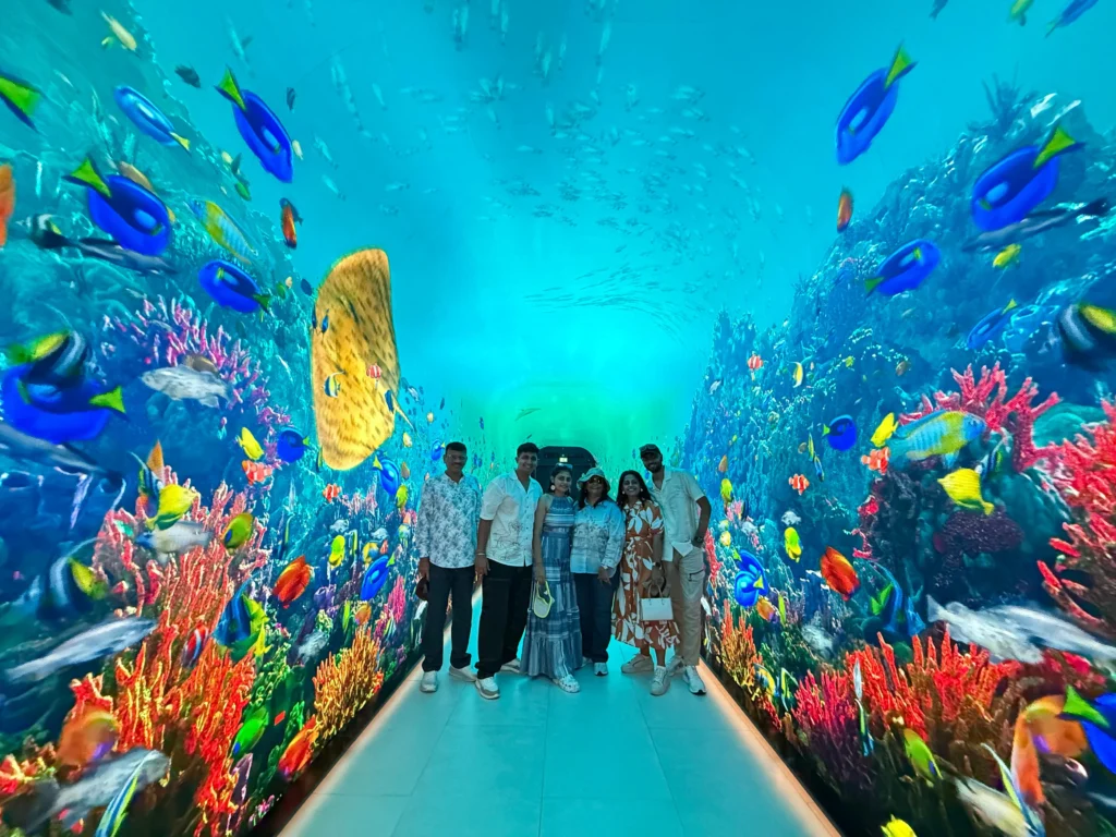 View at the palm- Exhibition