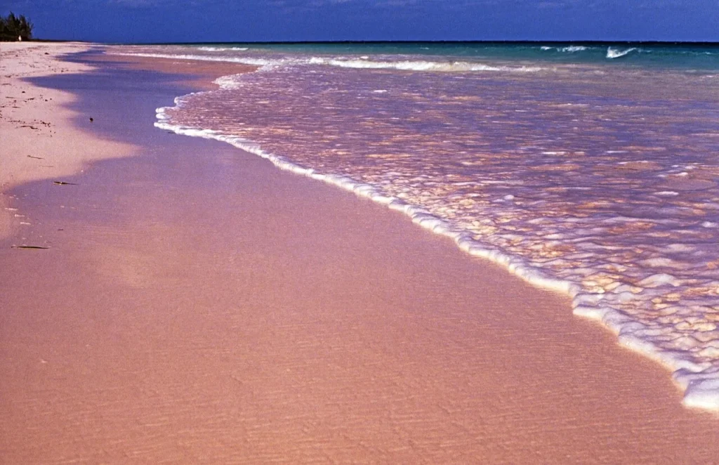 Pink sands Beach, Harbour Island