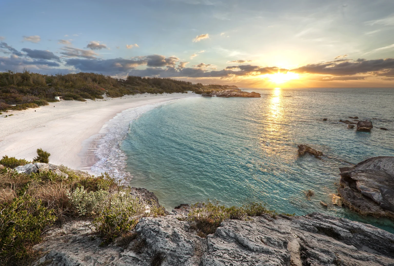 Horshoe beach bermuda