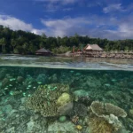 beaches with best marine life