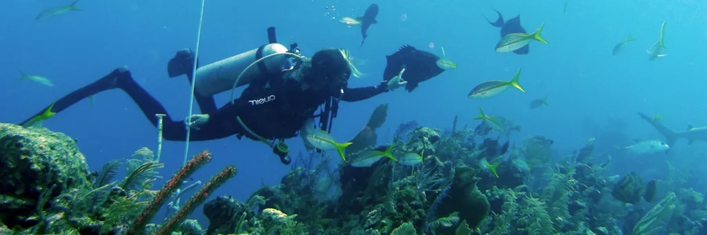 ScubaDiving-mauritius