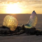 How to choose the right beach