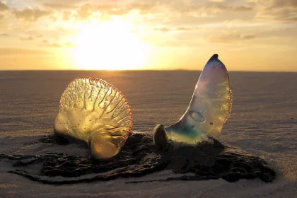 How to choose the right beach