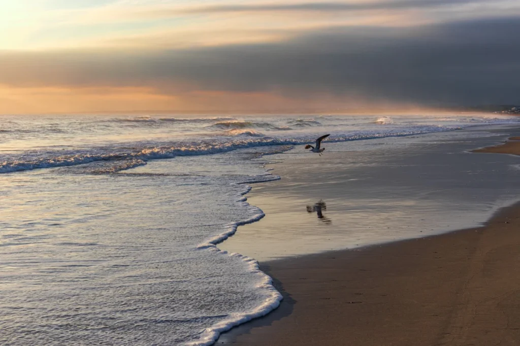 Beaches with liquid or shifting sand