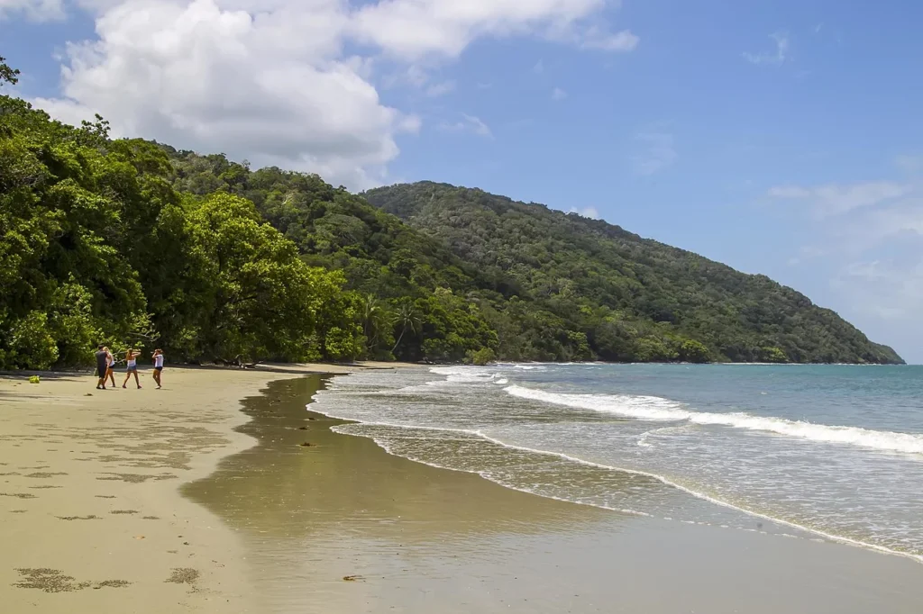 Cape Tribulation