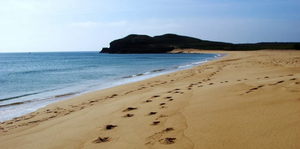 Singing and booming sand beaches