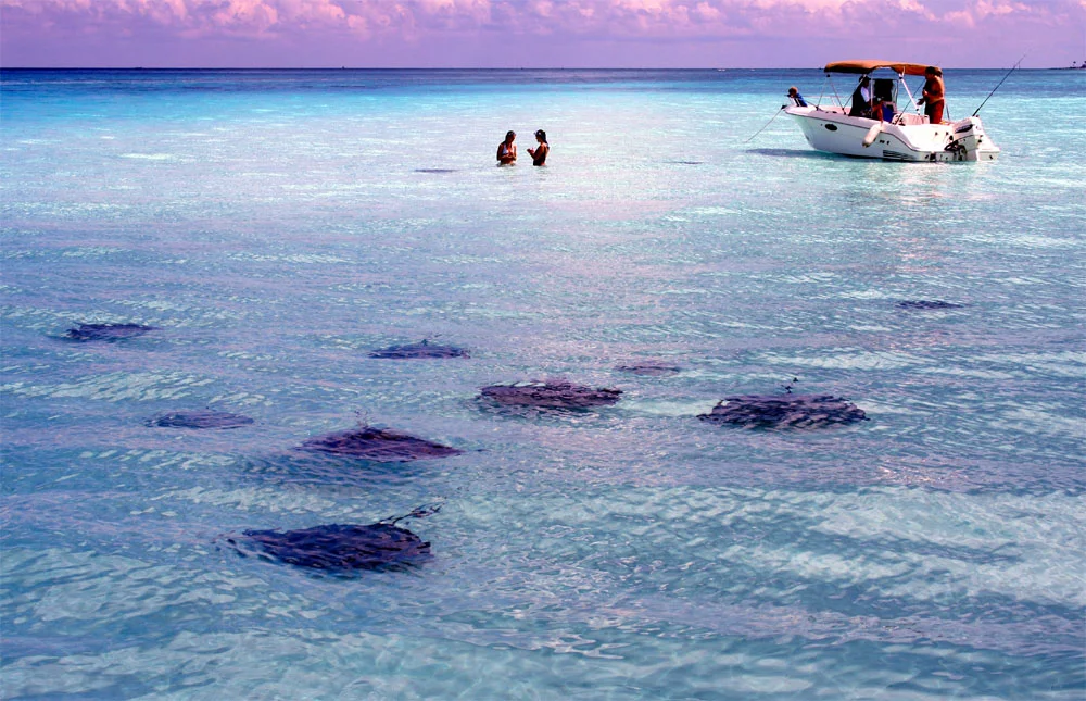  Stingray City, Cayman Islands
