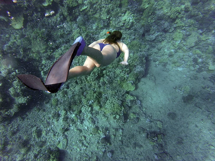 Snorkeling for Beginners
